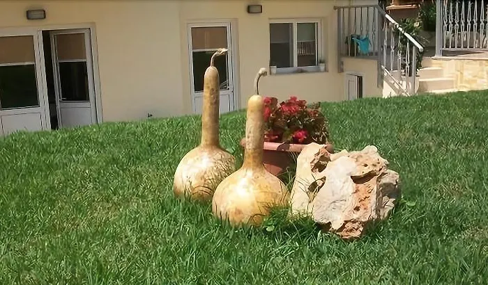 Apartmanhotel Astir 3*