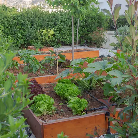 Ξενοδοχείο με διαμερίσματα Astir 3*