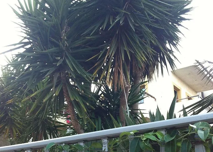 Astir Aparthotel Stalida